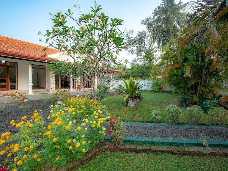 Araliya Villa Moragalla Exteriér fotografie